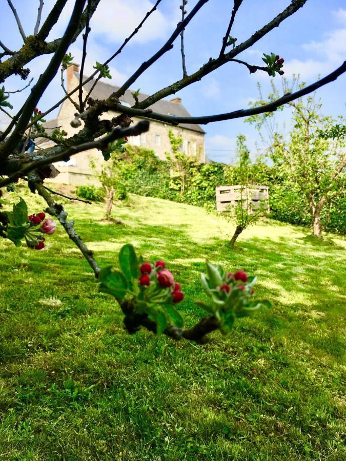 Gite La Petite Beurrerie Des Ardennes セル エクステリア 写真